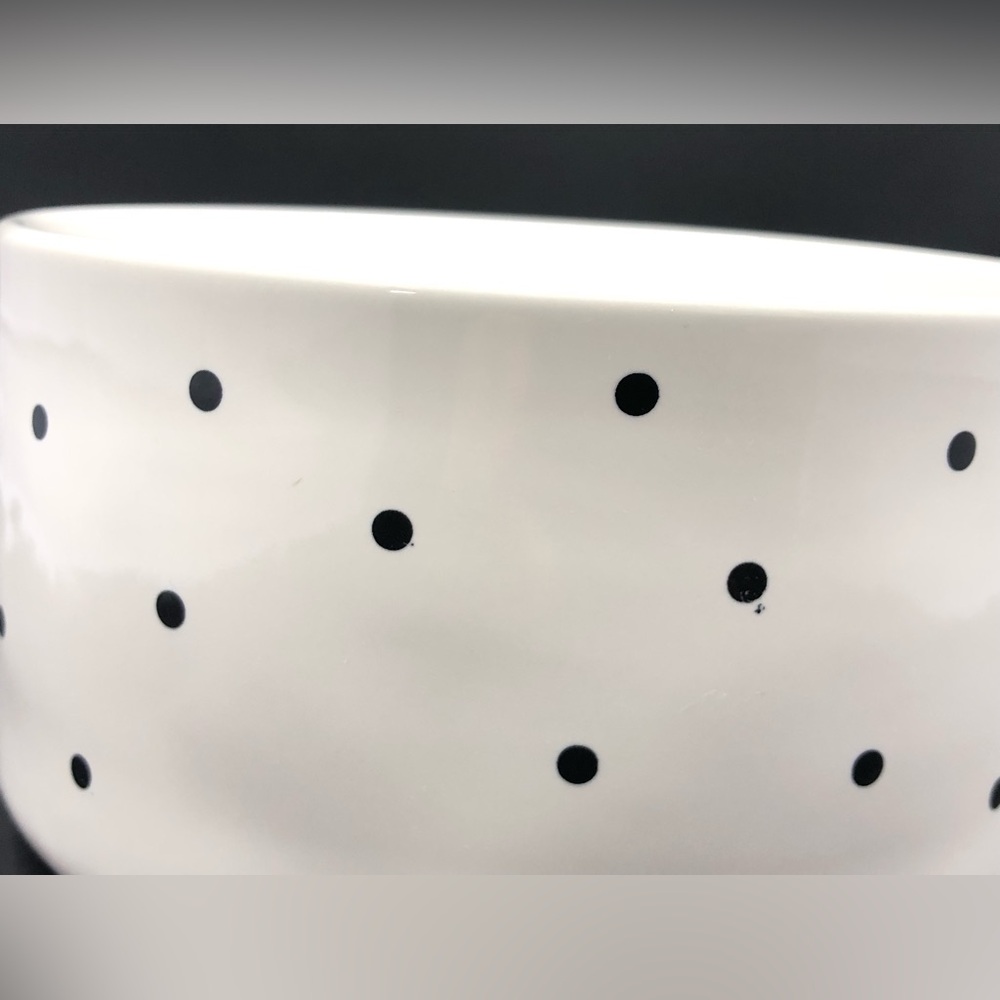 Rae Dunn Peanuts Pet Dog Bowl Halloween Spooktacular Snoopy & Woodstock - Picture 14 of 16